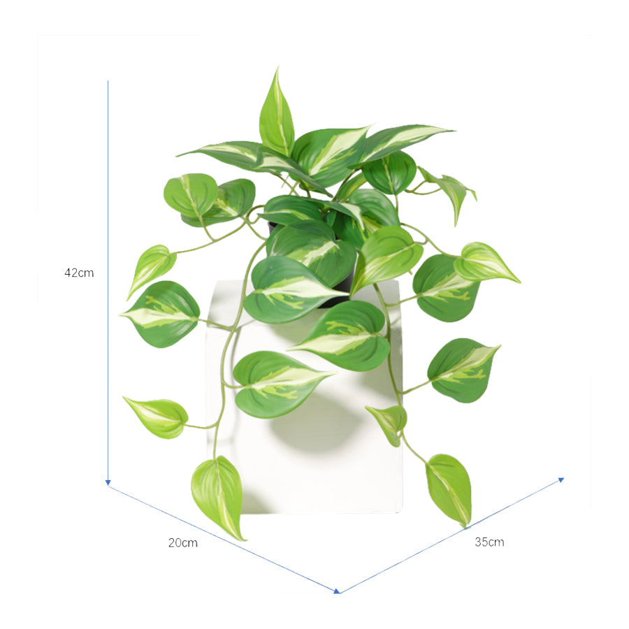 Potted Artificial Hanging Variegated Pothos 42cm 5