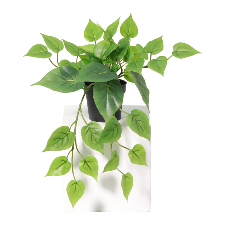 Potted Artificial Hanging Pothos 38cm 3