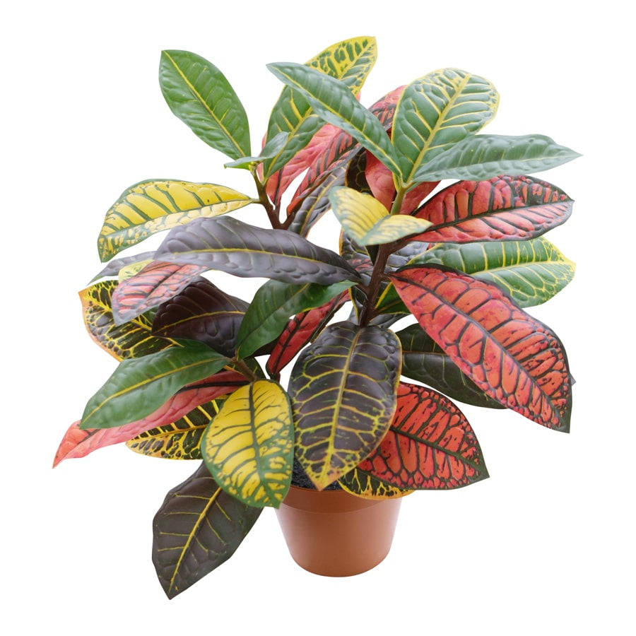 Potted Artificial Calathea 38cm 3