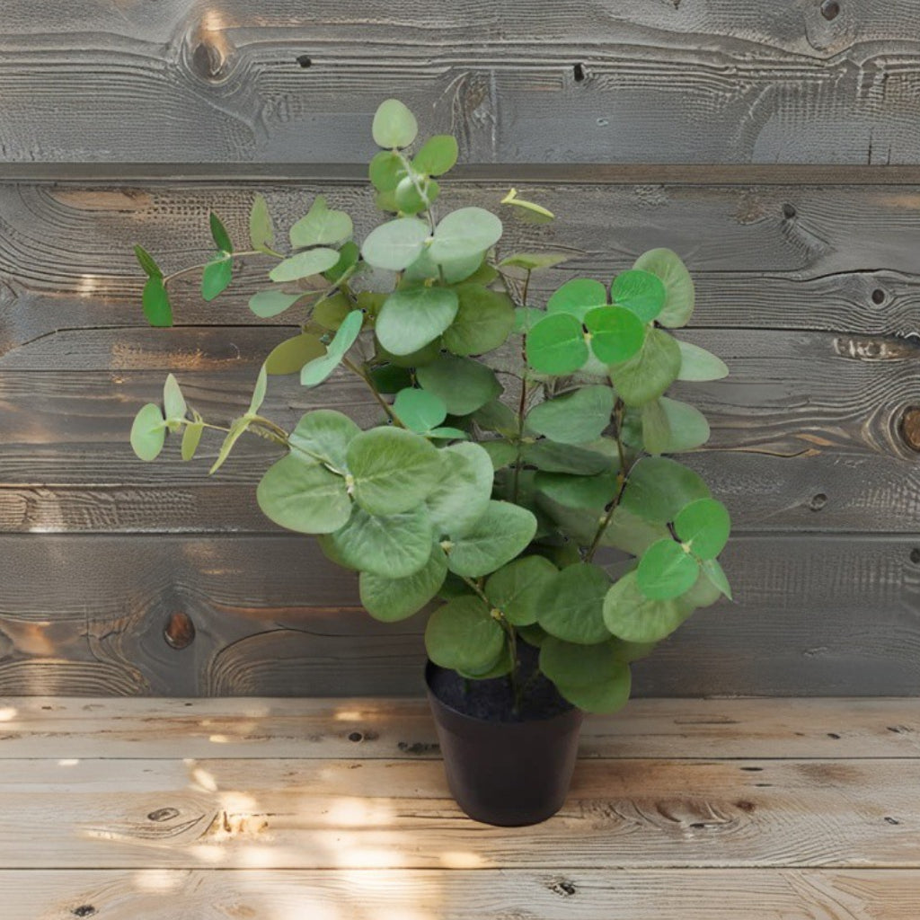 Potted Artificial Eucalyptus 48cm