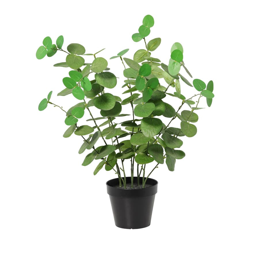 Potted Artificial Eucalyptus 48cm 3