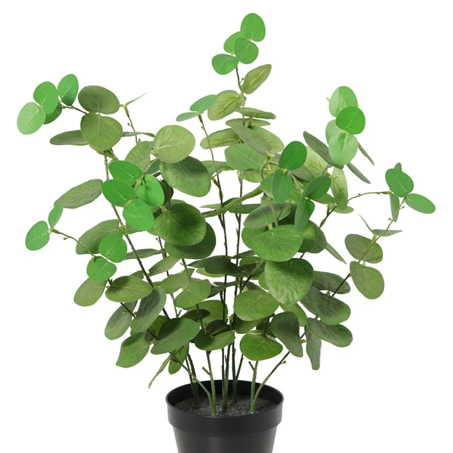 Potted Artificial Eucalyptus 48cm 4