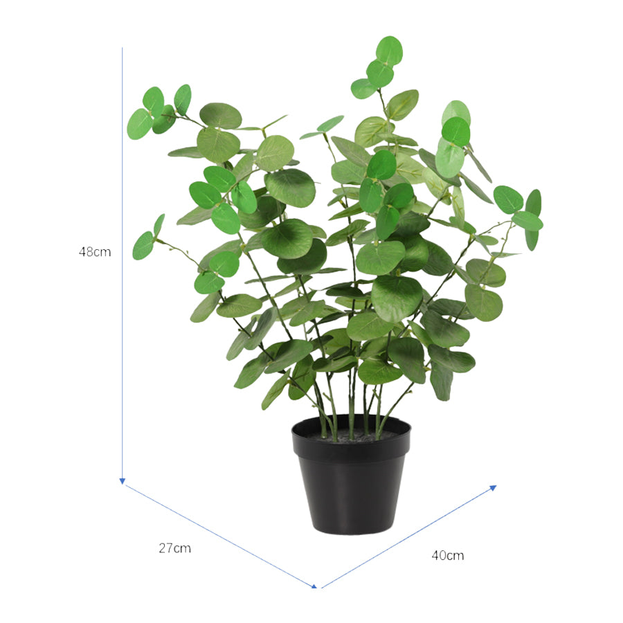 Potted Artificial Eucalyptus 48cm 5