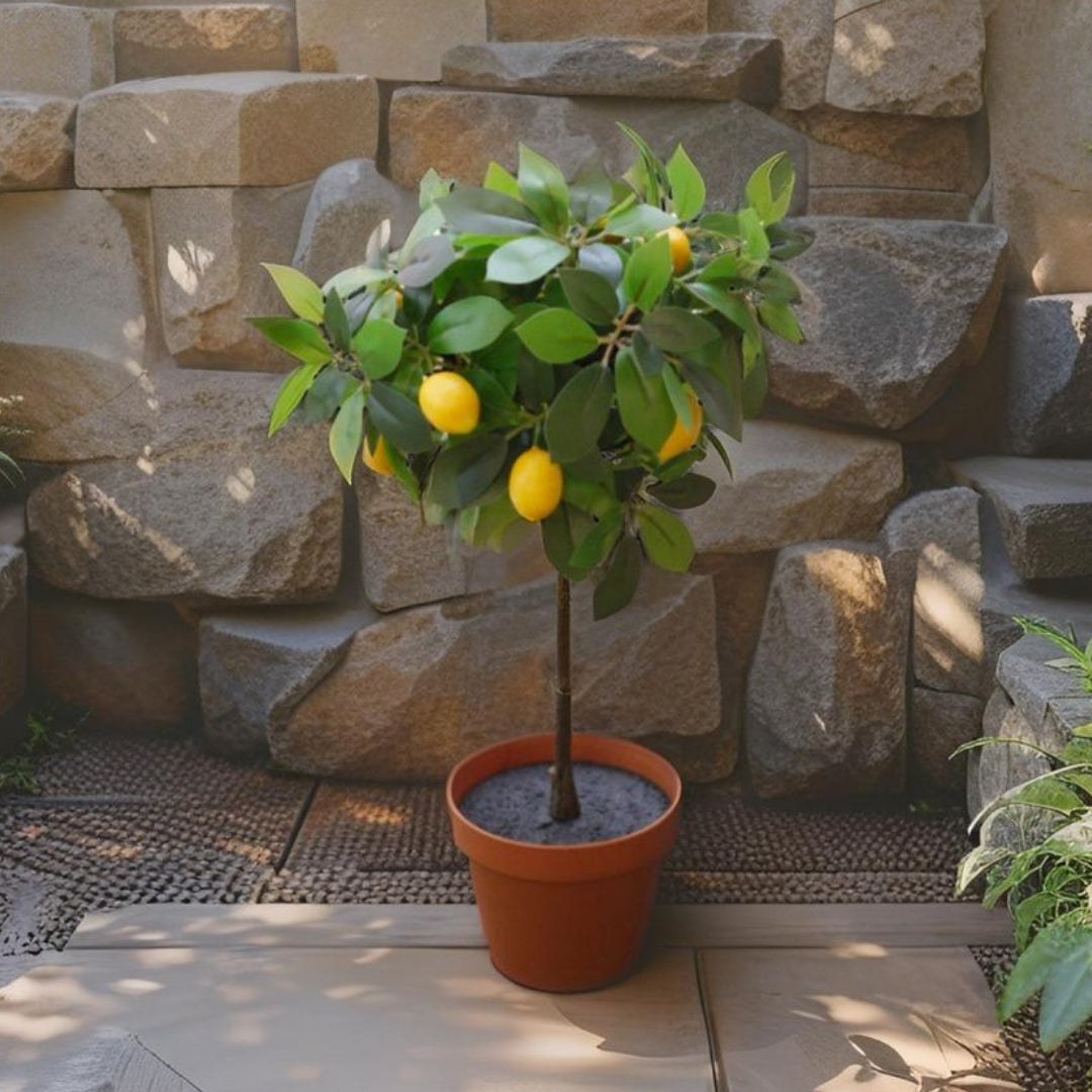 Potted Artificial Lemon Tree 43cm