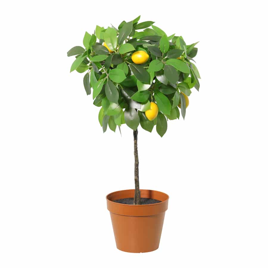 Potted Artificial Lemon Tree 43cm 3