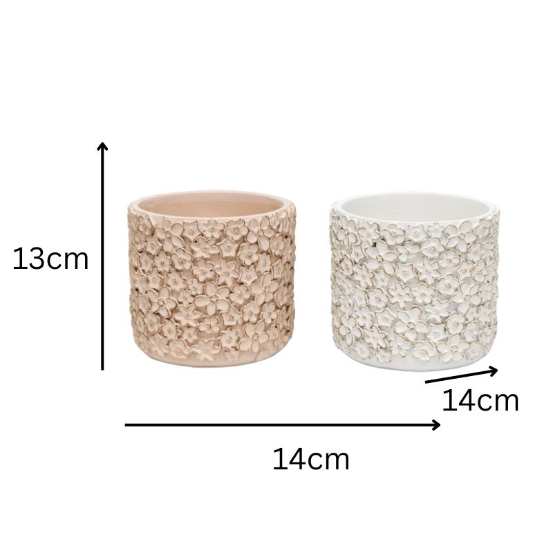Set 2 Asst Flower Embossed Planters w Hole + Plug 18cm 4
