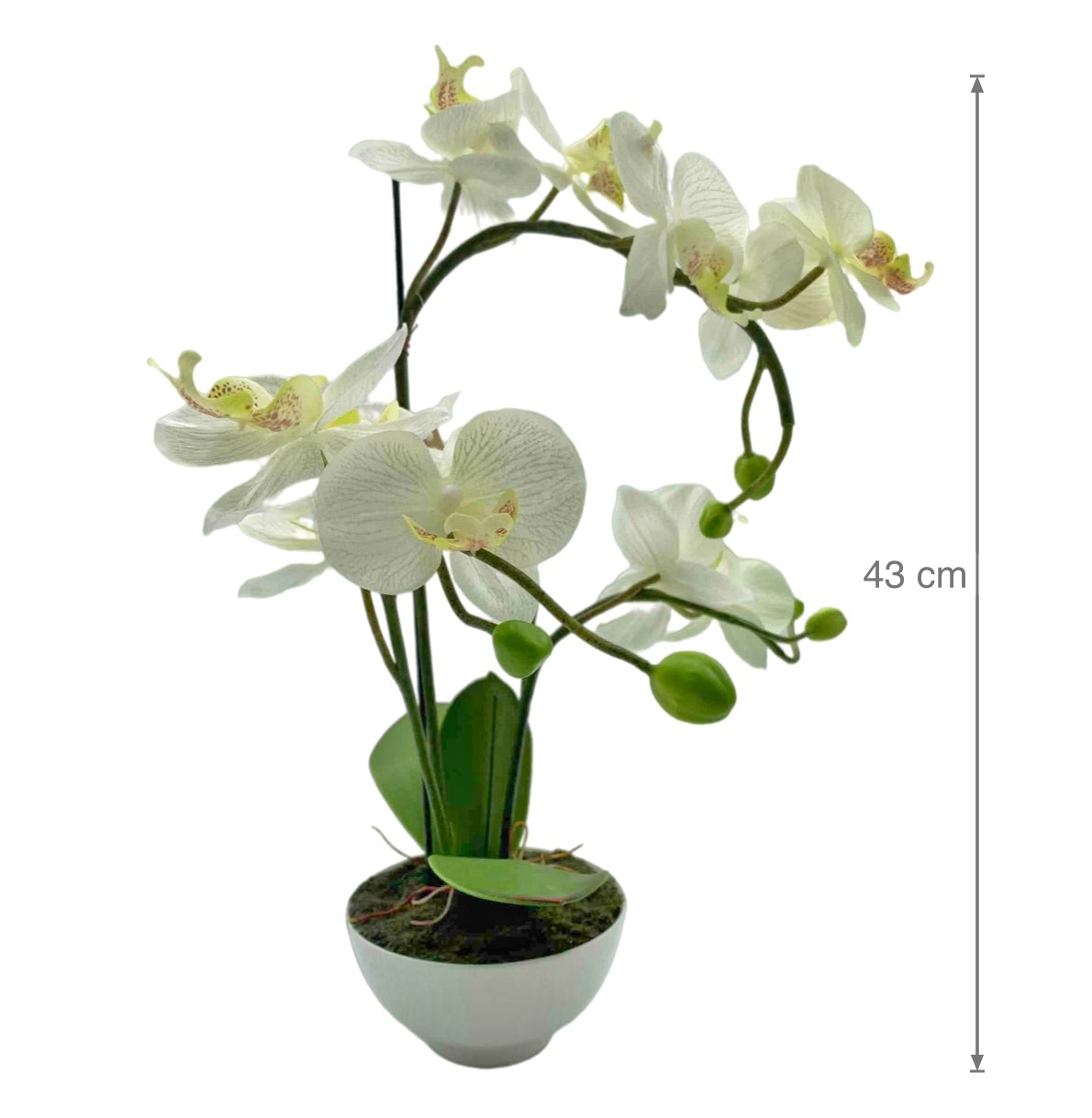 Artificial Orchid w Ceramic Base 44cm
