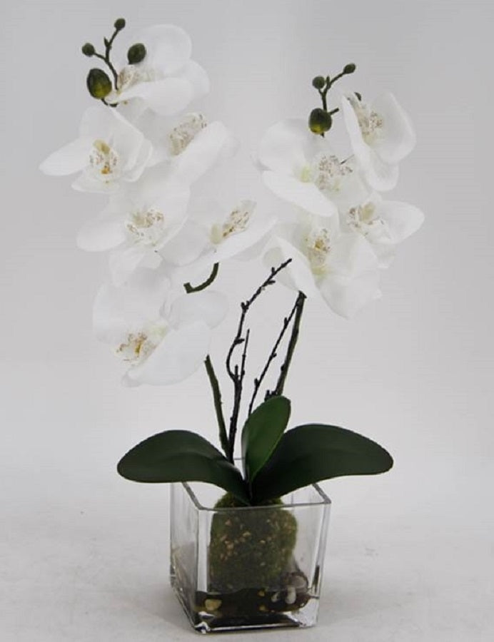 Artificial Orchid in Glass Pot 10x45cm