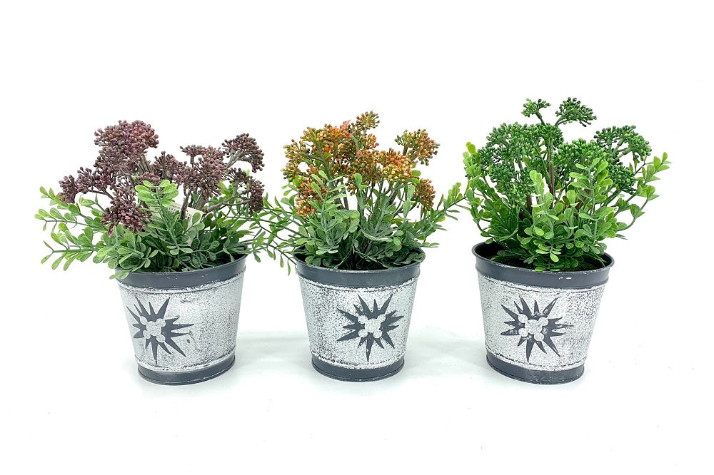 Set 3 Artificial Brocollini In Tin Pot 7x21cm