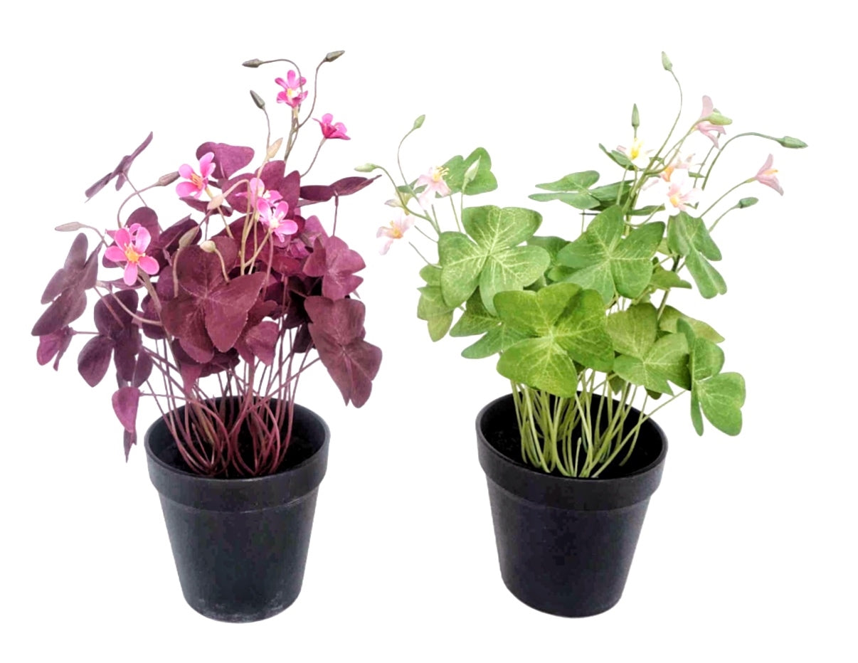 Set 2 Artificial Oxalis Triangularis Plant In Plastic Pot 10x35cm