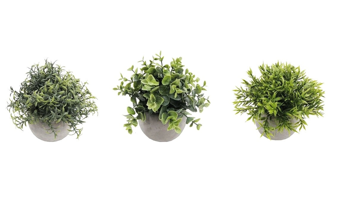 Set 3 Artificial Plant in Cement Pot Assort 18cm