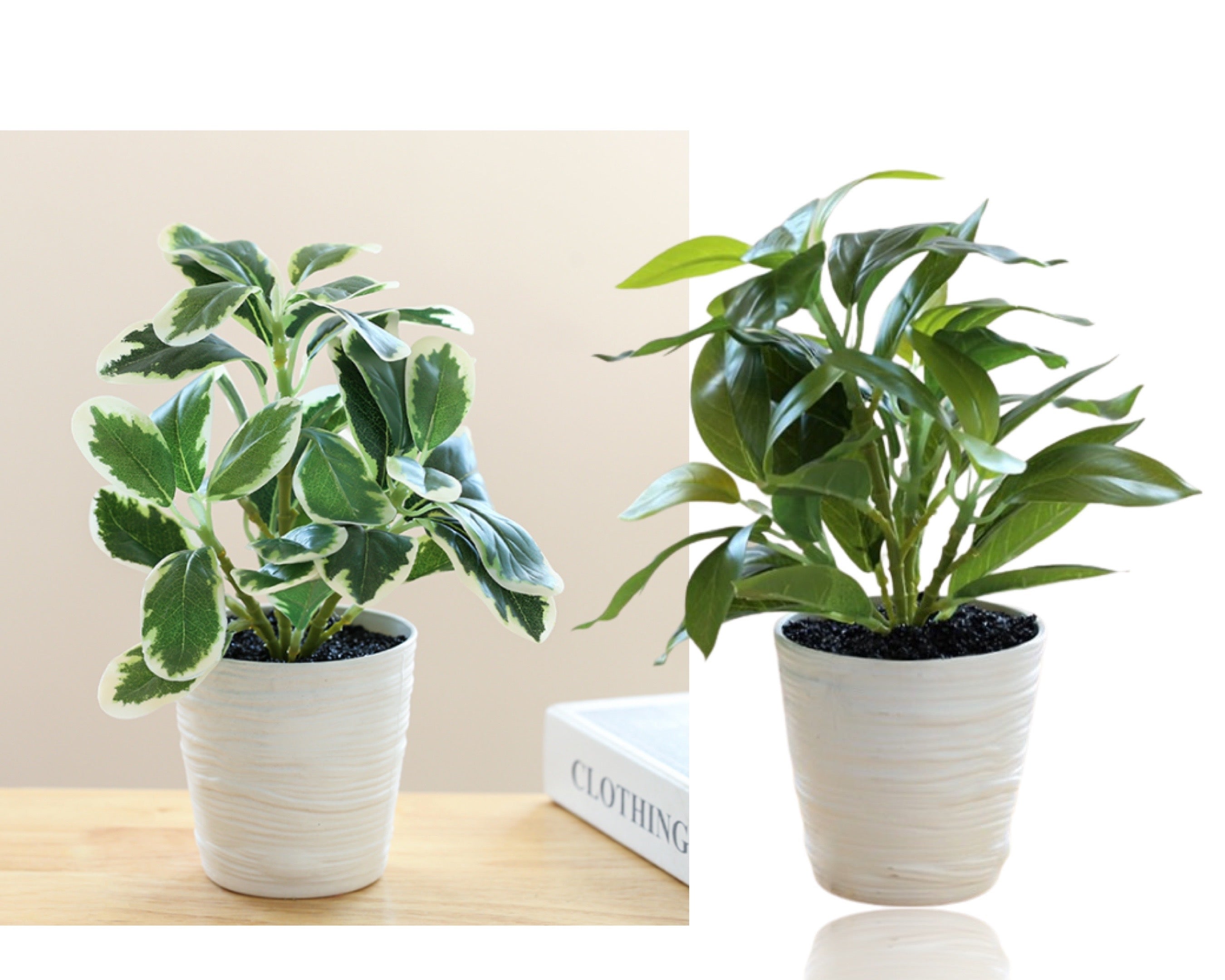 Set 2 Artificial Green Leaf in Pot Assort 28cm