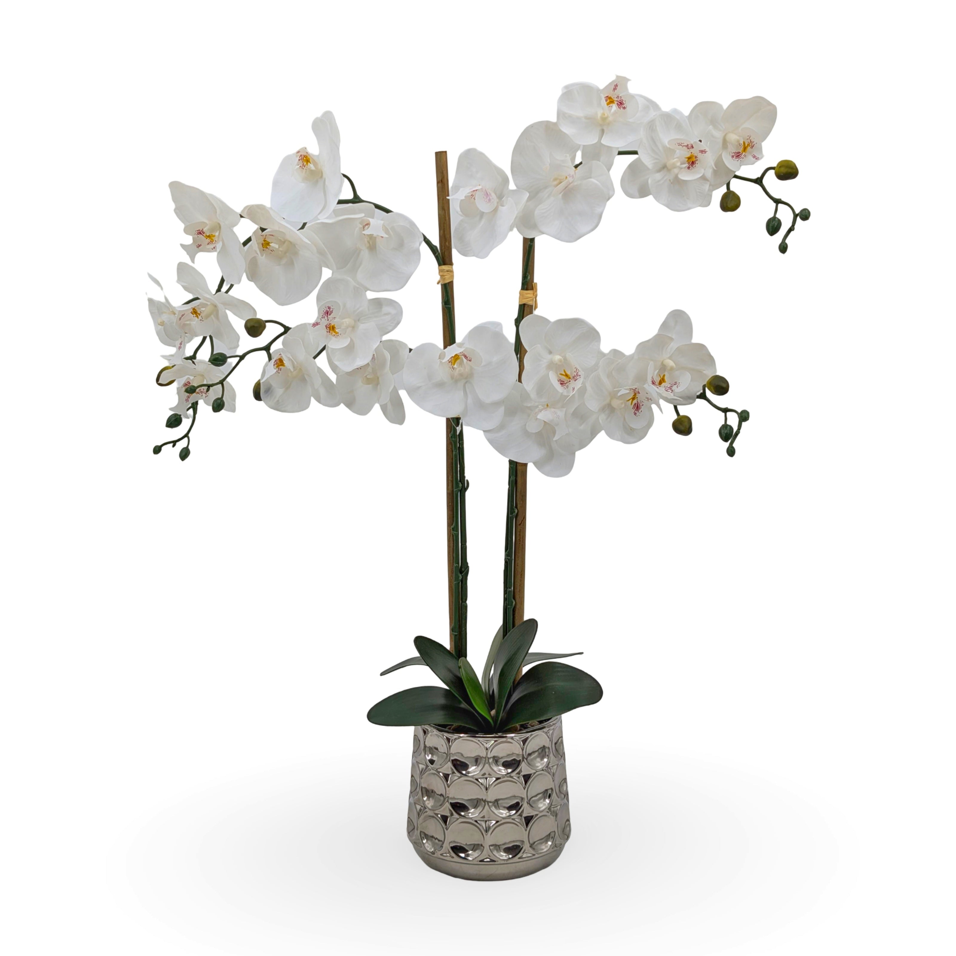 Artificial Orchids in Chrome Pot 71cm