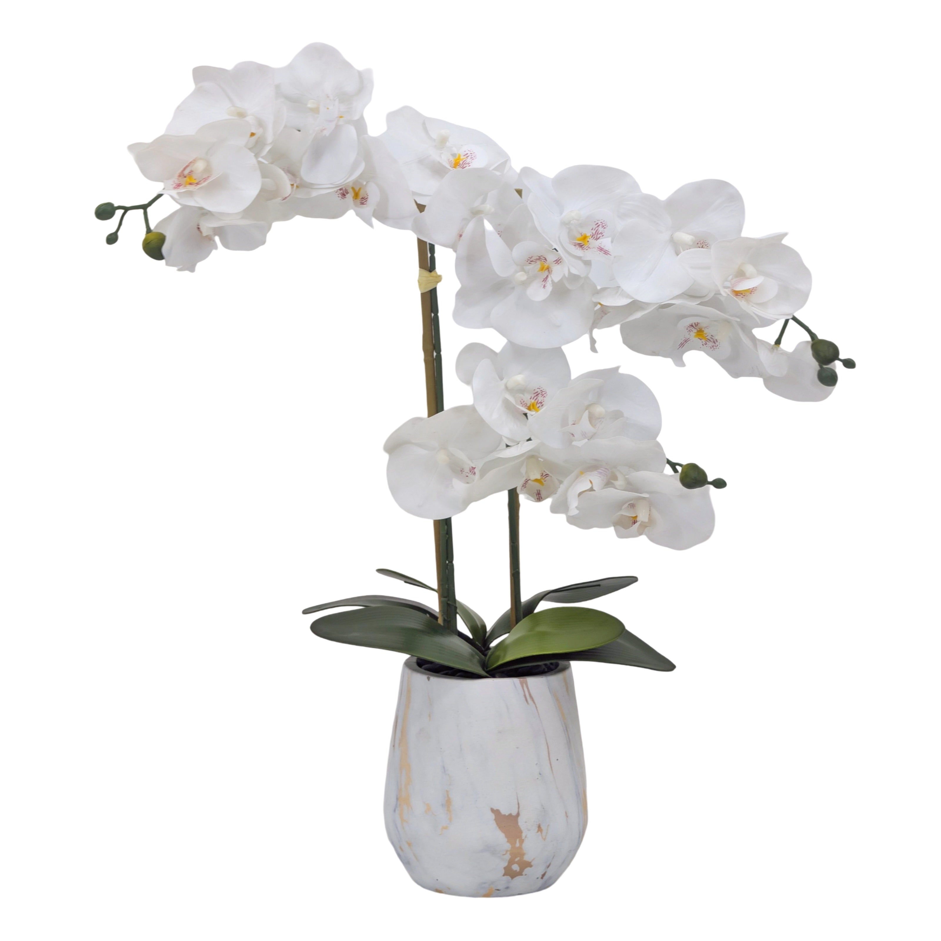 Real Touch Artificial Orchid Pot 55cm
