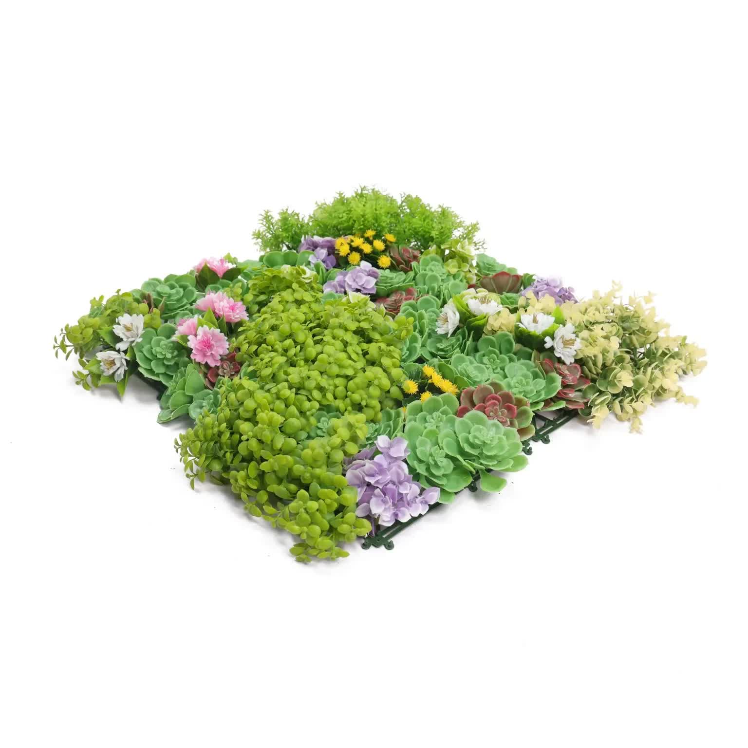 Artificial Dense Succulent Green Wall / Vertical Garden Panel 50cm x 50cm UV Resistant 5