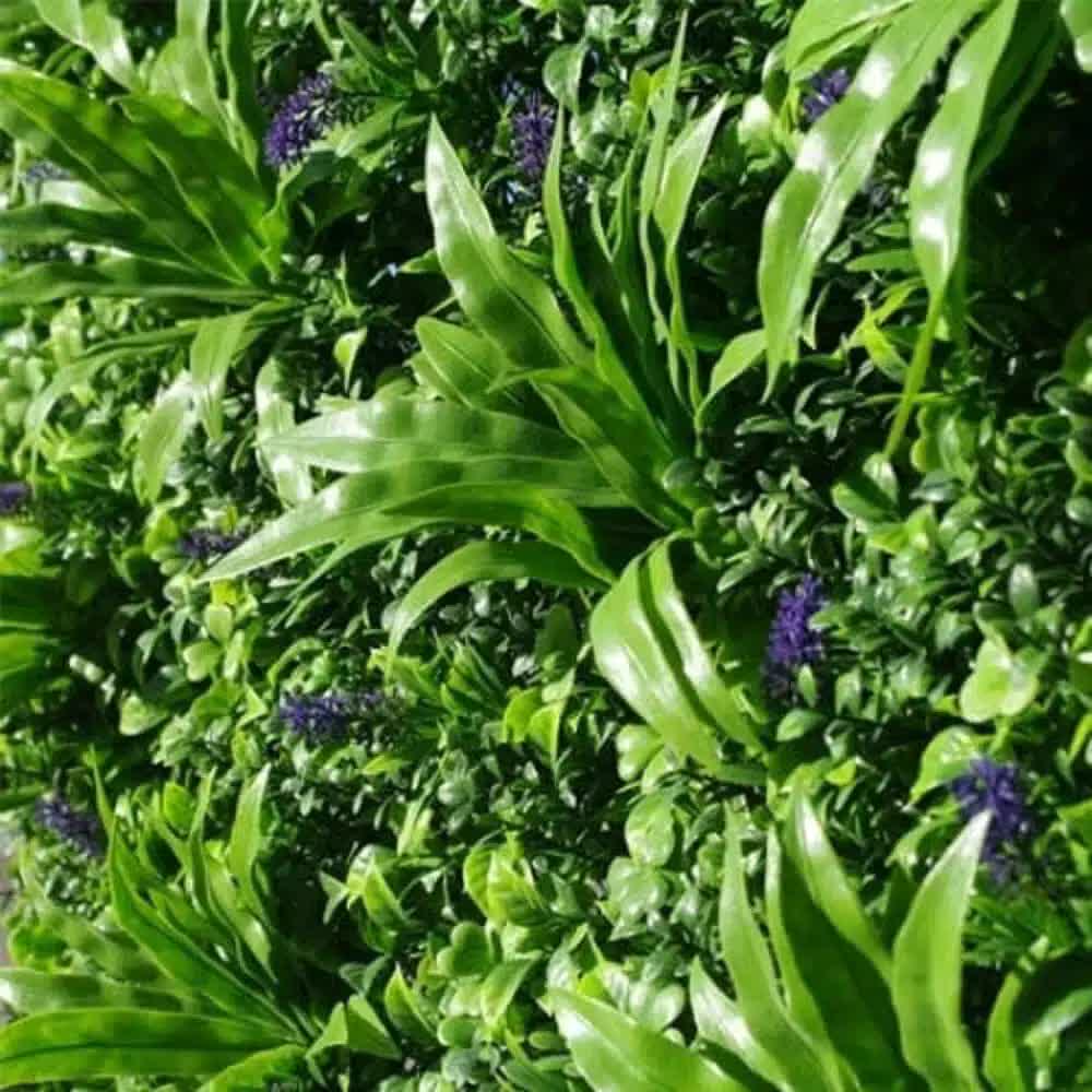 Lavandula Vertical Garden / Green Wall UV Resistant SAMPLE 4