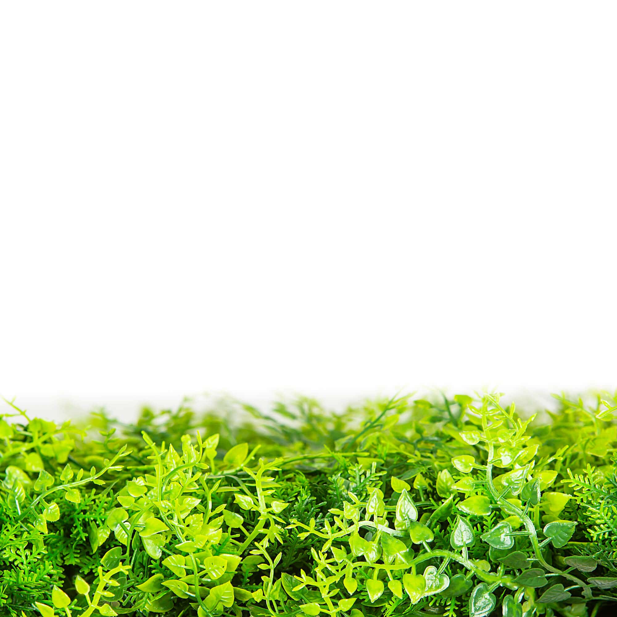 Mediterranean Fern Vertical Garden / Green Wall UV Resistant SAMPLE 4