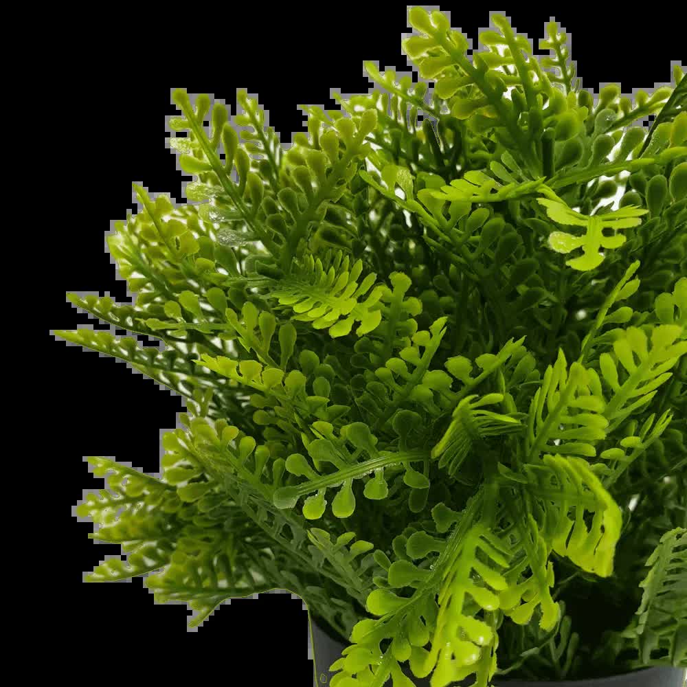 Small Potted Artificial Mimosa Fern UV Resistant 20cm 3