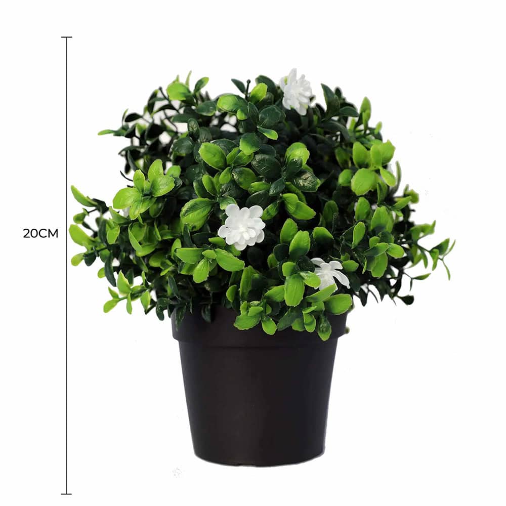 Small Potted Artificial Flowering Boxwood Plant UV Resistant 20cm