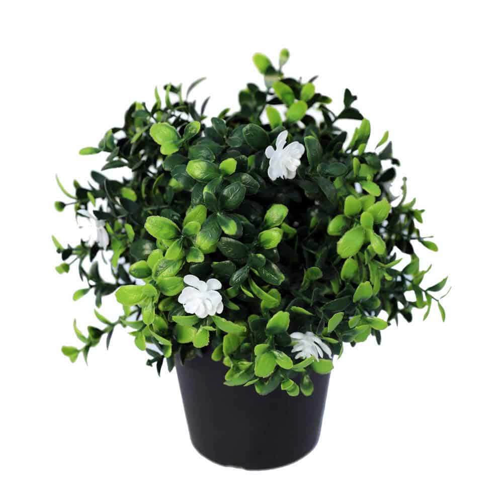 Small Potted Artificial Flowering Boxwood Plant UV Resistant 20cm 3