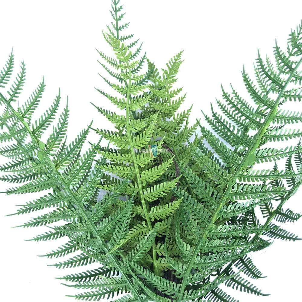 Dark Fern Stem UV Resistant 38cm 3