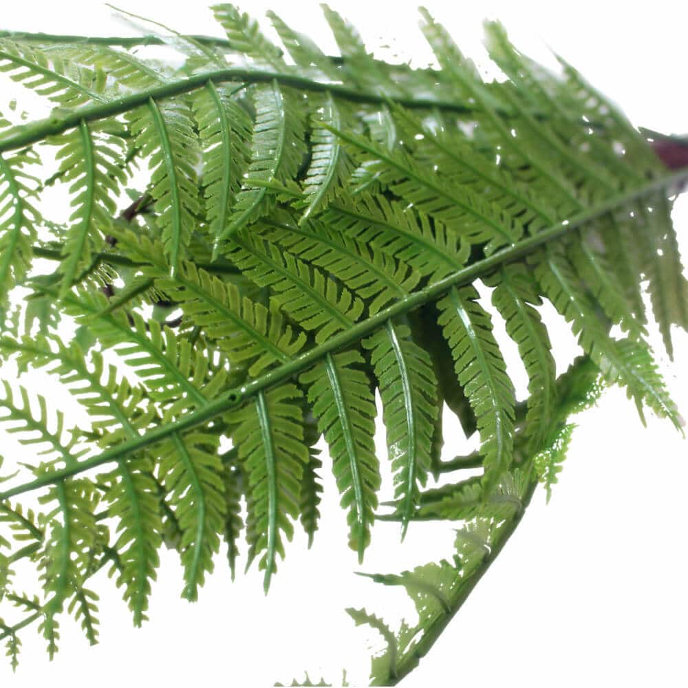 Dark Fern Stem UV Resistant 38cm 4