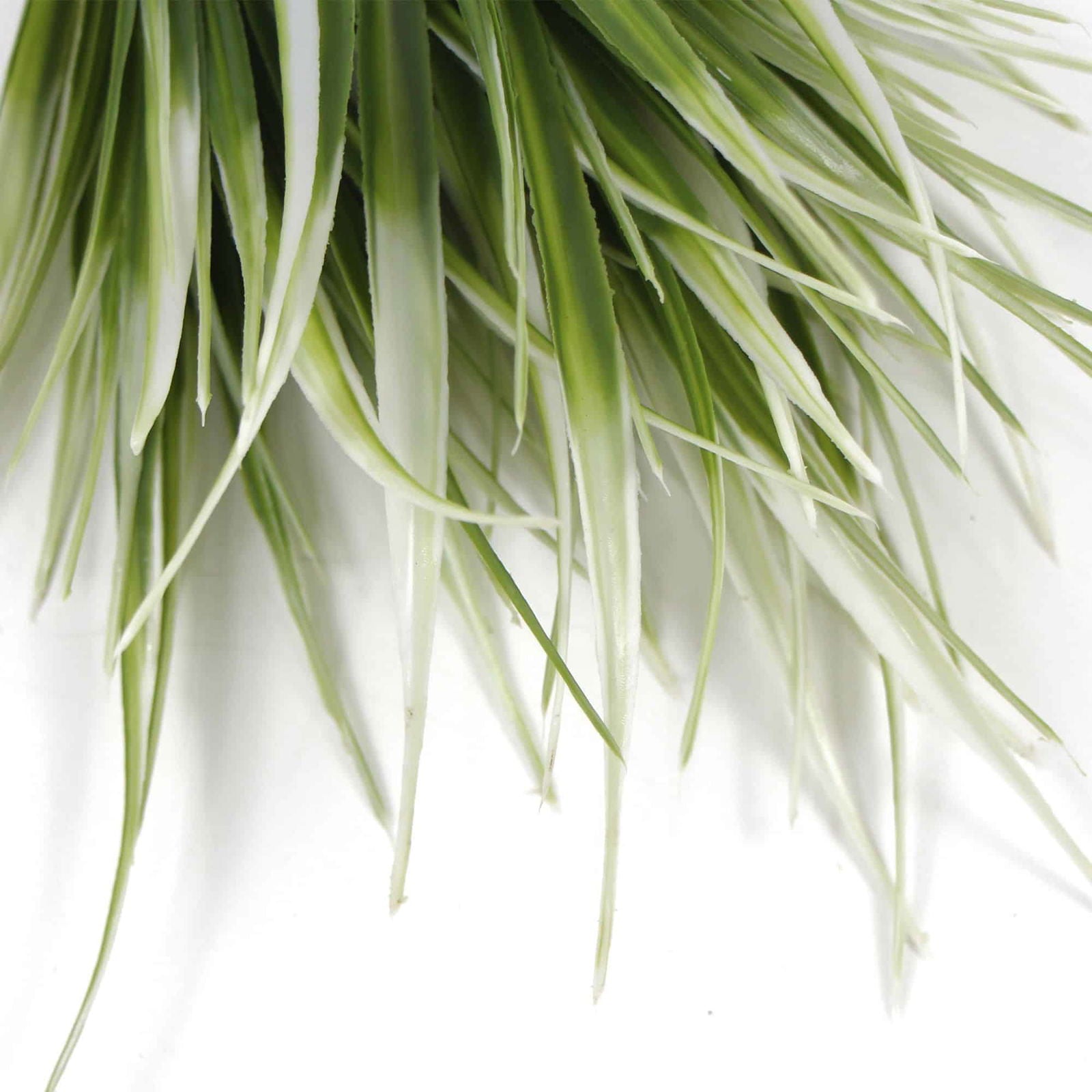 White Tipped Grass Stem UV Resistant 35cm 4