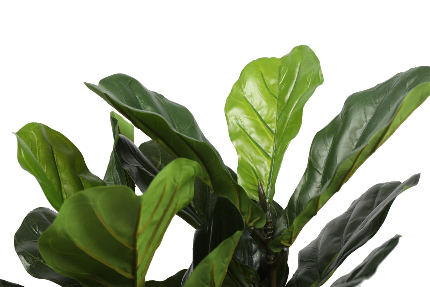 Artificial Fiddle Fig Tree 70cm 4