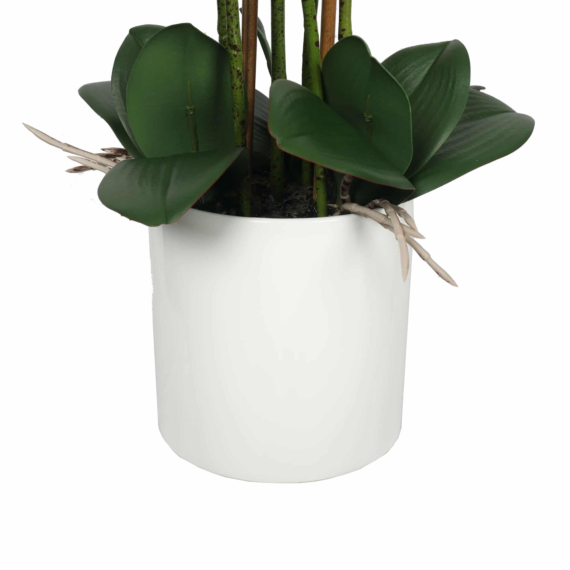 Large Multi-Stem White Potted Faux Orchid 65cm 3