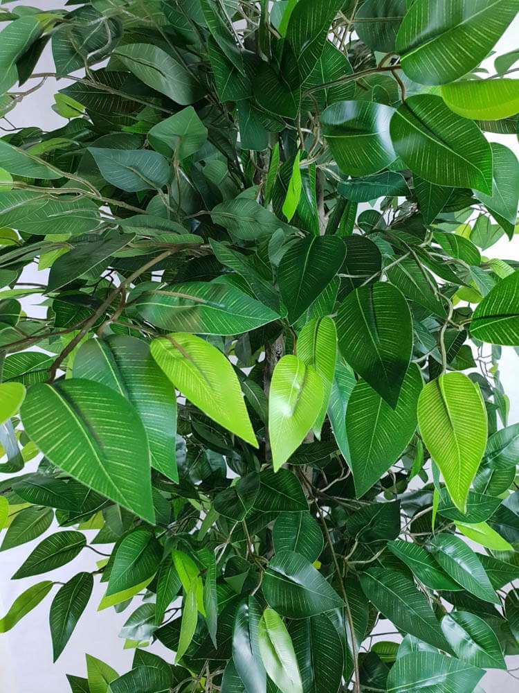 Mixed Green Bushy Artificial Ficus Tree 180cm 3