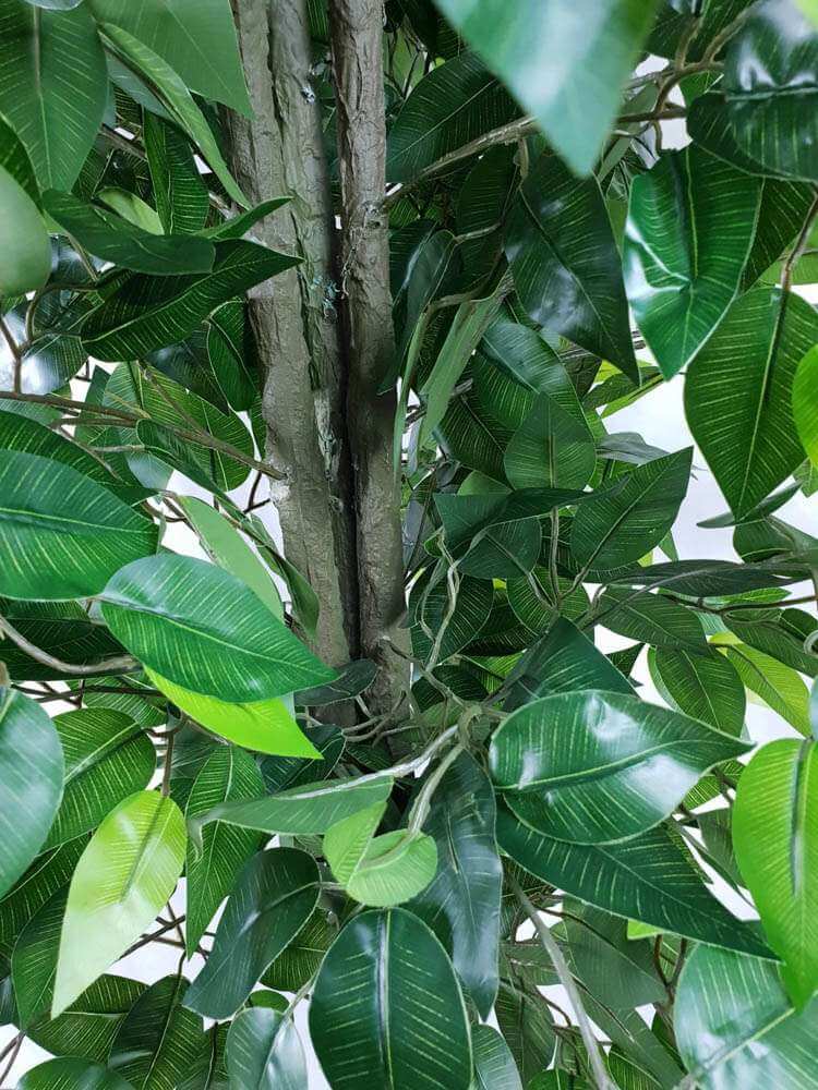 Mixed Green Bushy Artificial Ficus Tree 180cm 4