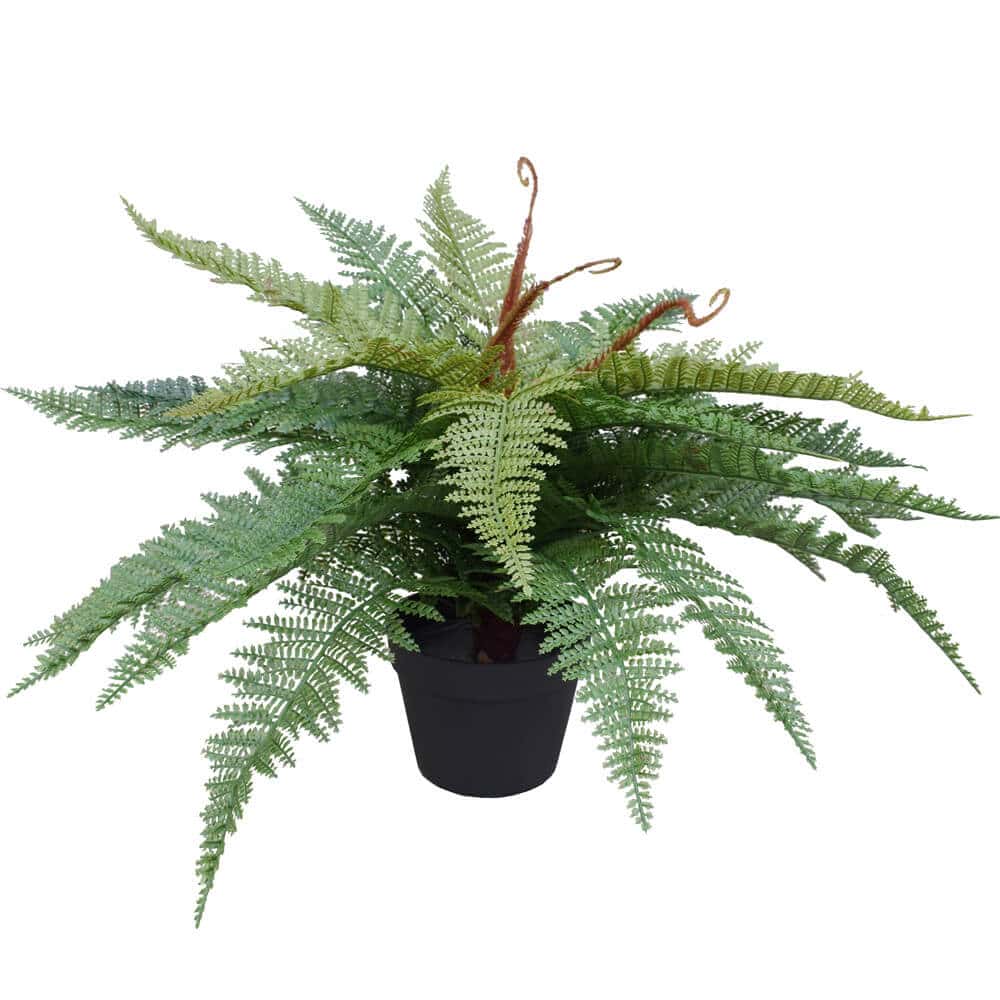 Artificial Potted Fishtail Fern 55cm 3