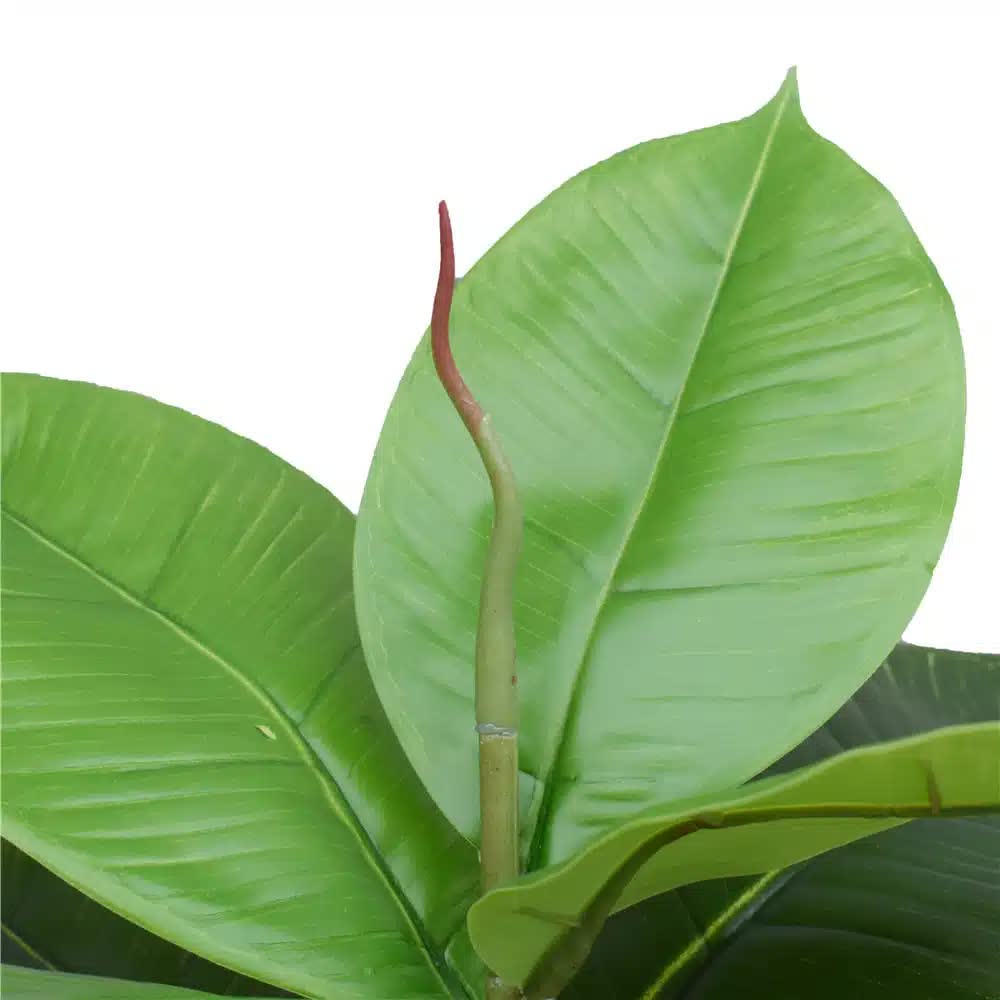 Artificial Potted Rubber Plant 55cm 3