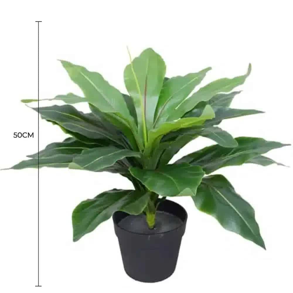 Artificial Potted Wide Leaf Birds Nest Fern 50cm