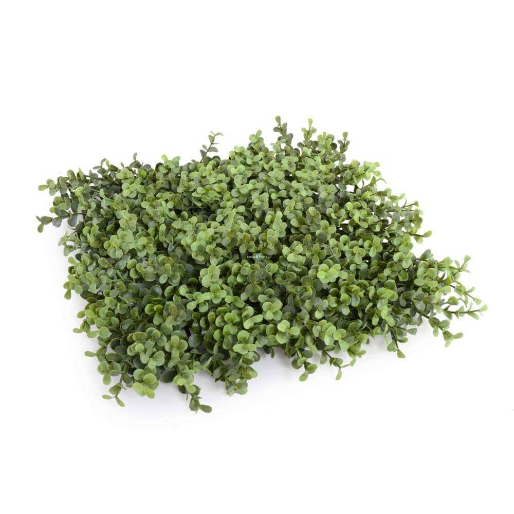 Deluxe Portable Buxus Hedge UV Resistant 100cm Long x 200cm High 3