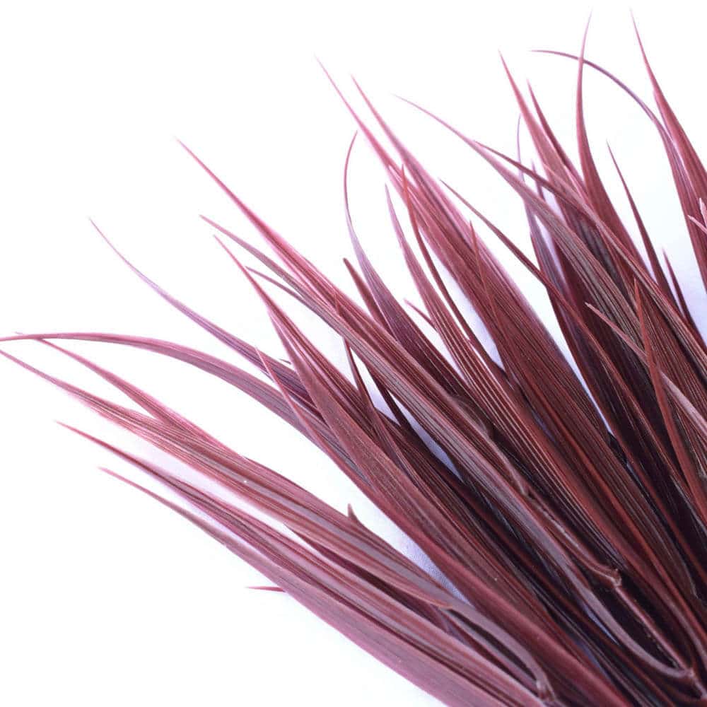 Dark Red Artificial Grass Stem 35cm Long UV Resistant 3