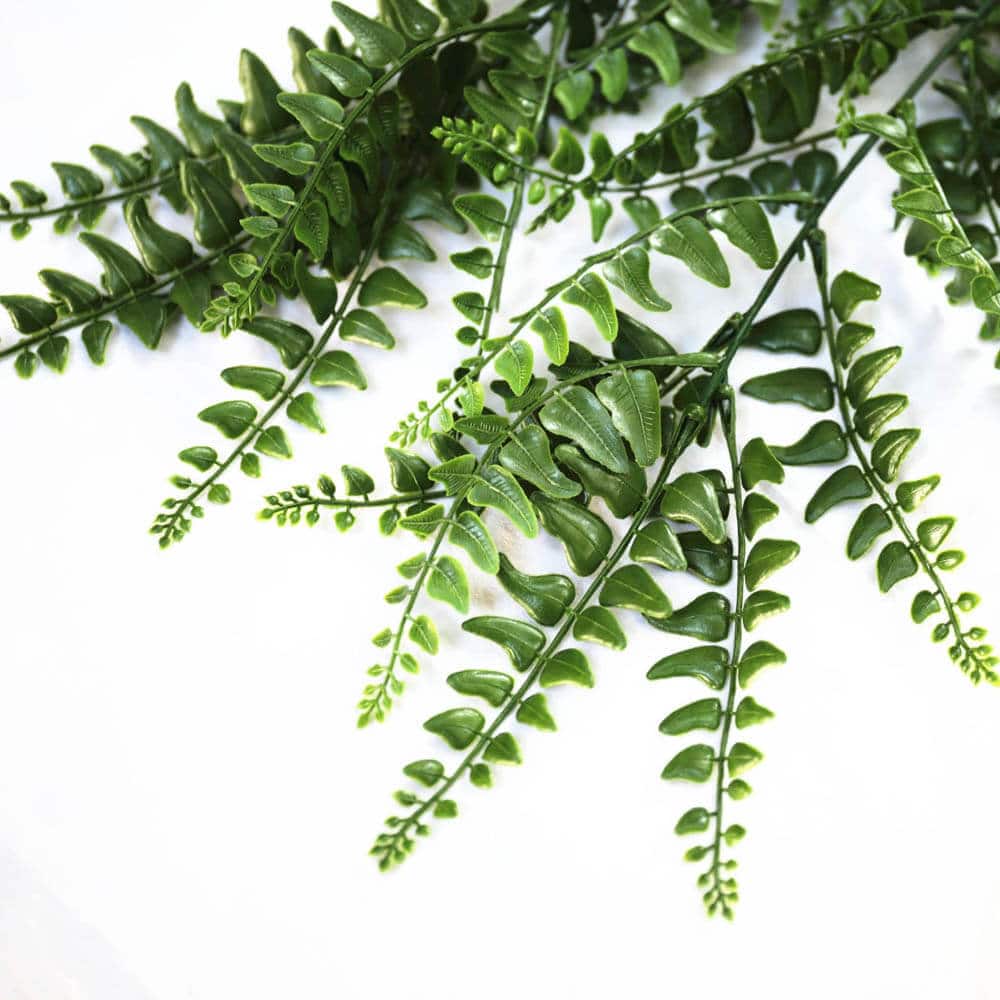 UV Resistant Dense Hanging Fern 90cm 3