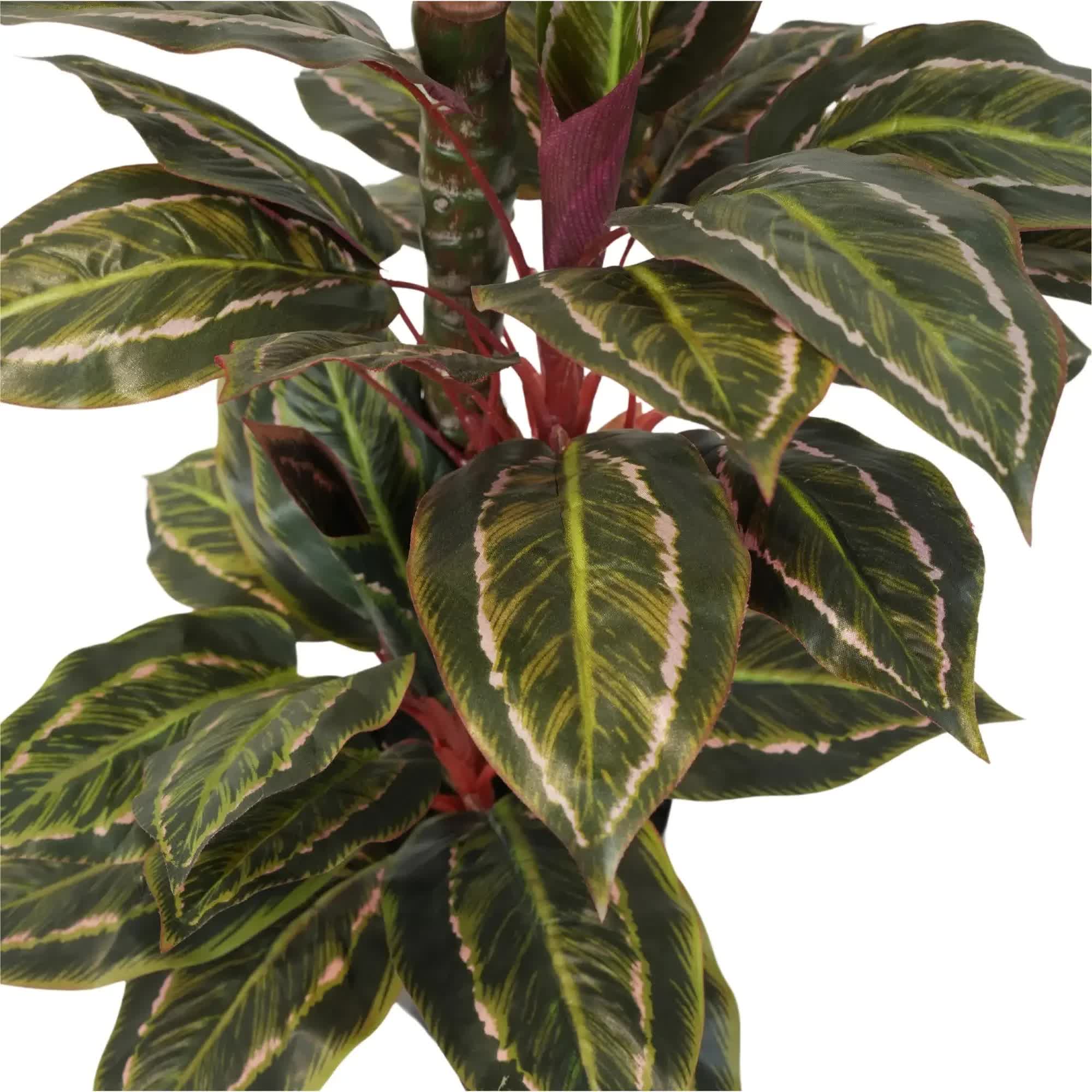 Artificial Wide Leaf Cordyline Plant 90cm 4