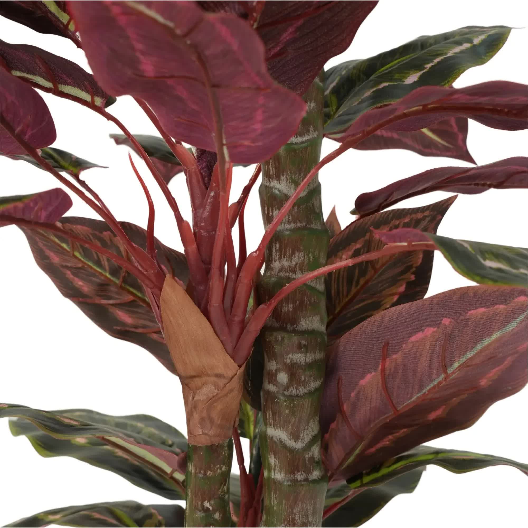 Artificial Wide Leaf Cordyline Plant 90cm 5