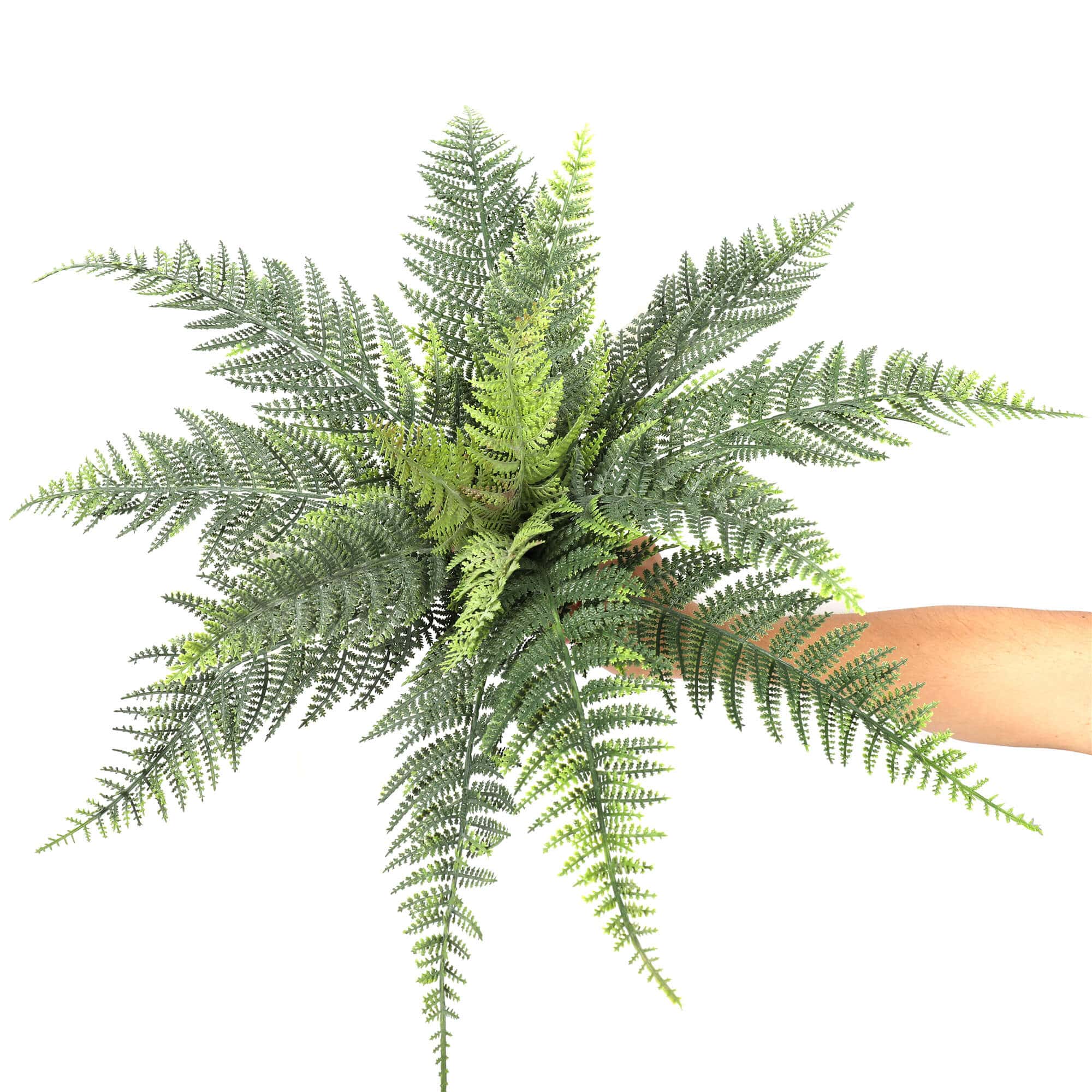 Premium Artificial Australian Fern UV Resistant 60cm 3