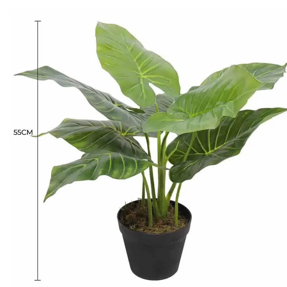 Artificial Potted Taro Plant / Elephant Ear 55cm