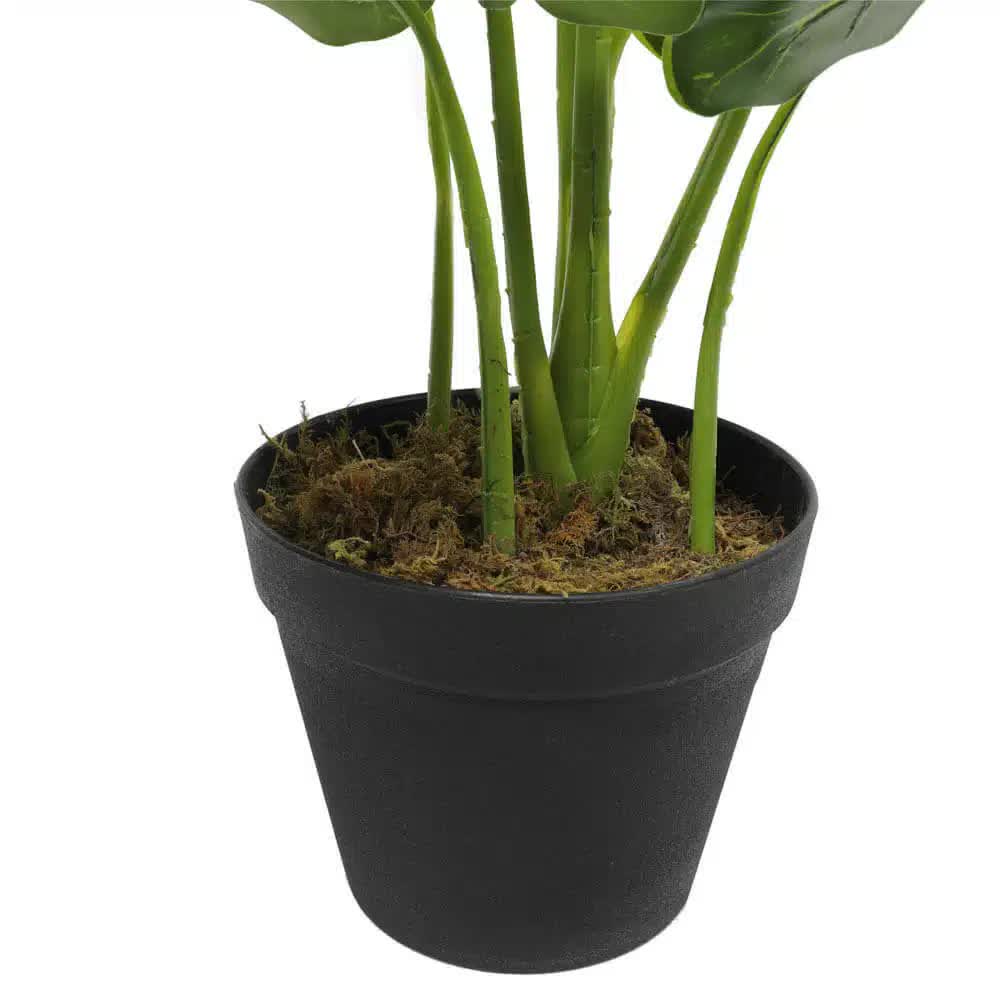 Artificial Potted Taro Plant / Elephant Ear 55cm 4