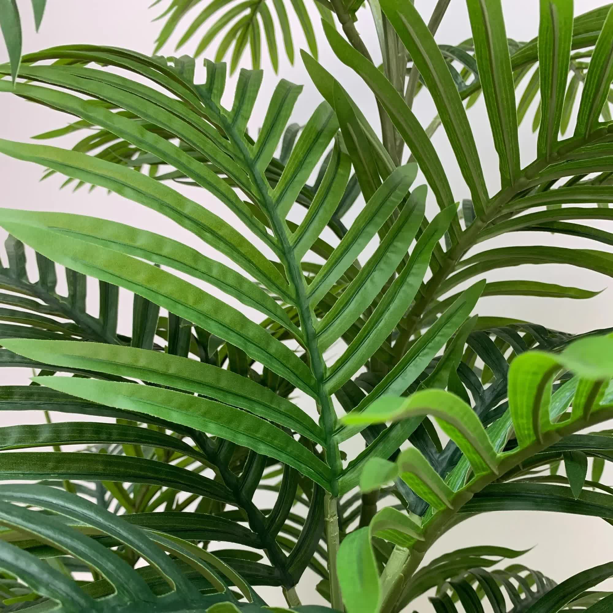 Premium Artificial Potted Multi-trunk Fan Palm 180cm 5