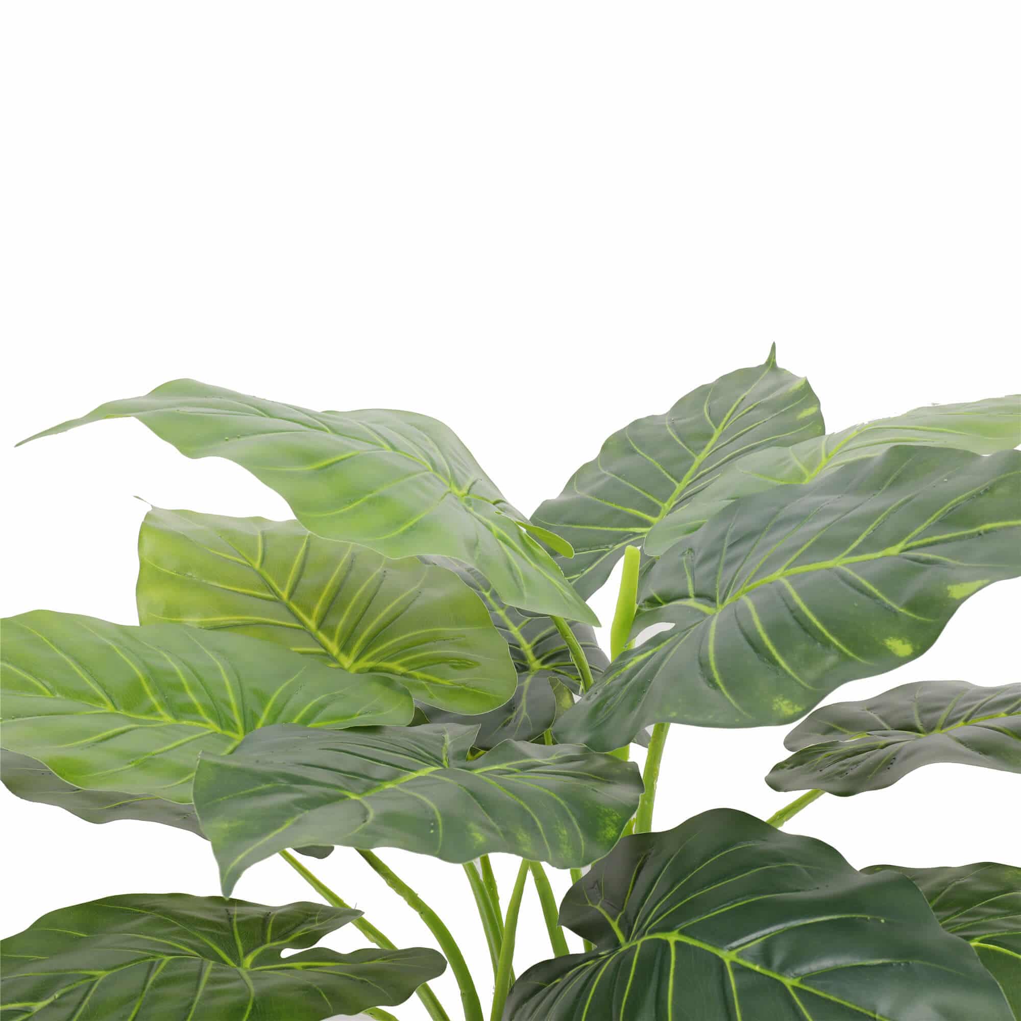 Artificial Potted Taro Plant / Elephant Ear 70cm 3