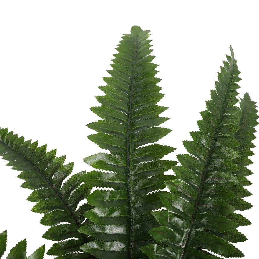 Artificial Potted Natural Green Boston Fern (50cm high 70cm wide) 3