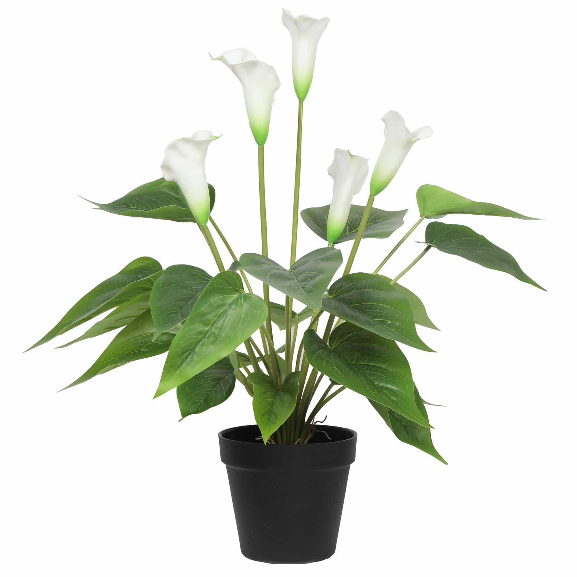 Stunning Lifelike Lilies Bundle 3