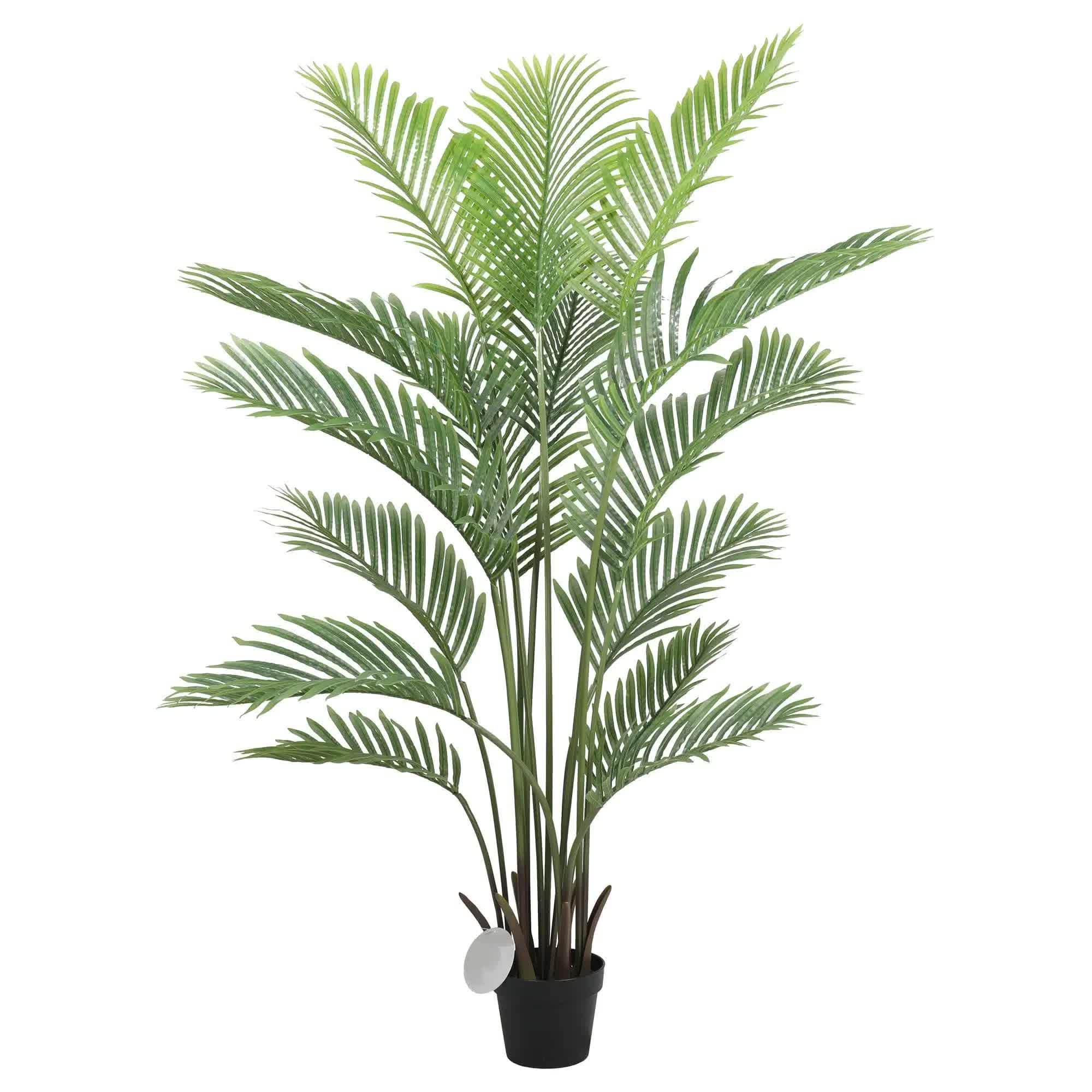 Premium Areca Palm Tree and Render Pot Bundle 3