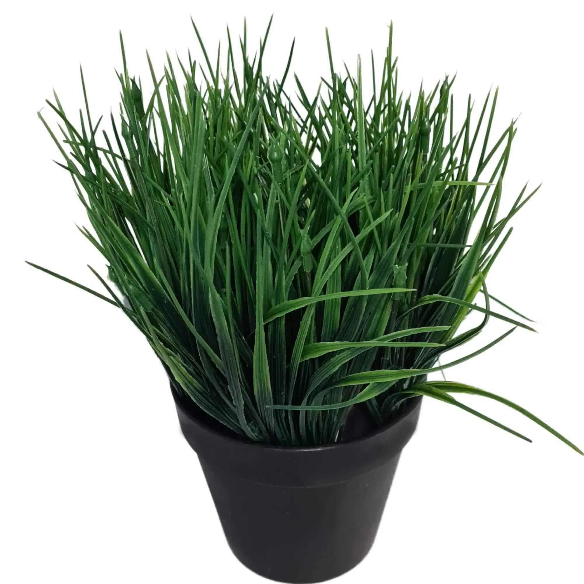 Potted Ornamental Artificial Mondo Dense Green Grass UV Resistant 30cm 3