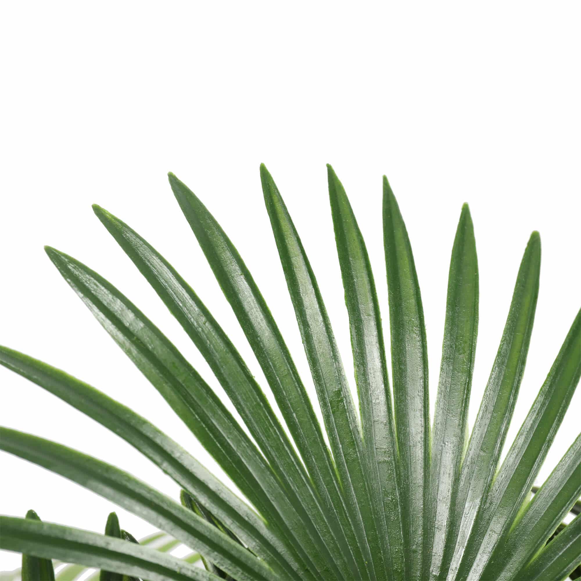 Artificial Wide Leaf Fan Palm Tree 90cm 3