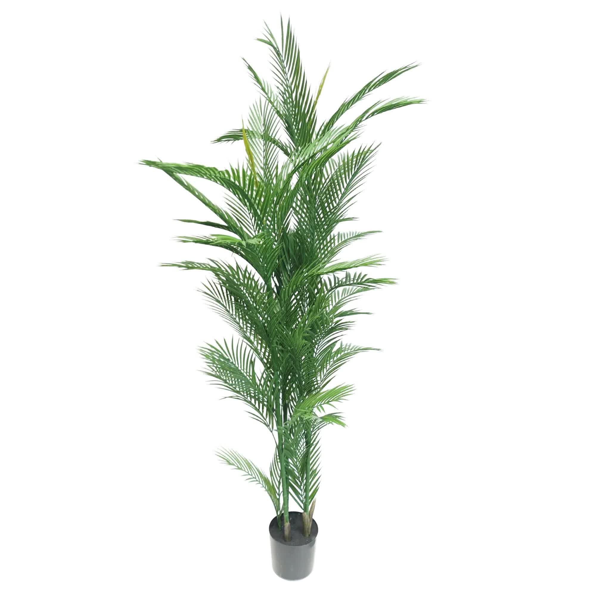 Real Touch Artificial Phoenix Palm Tree UV Resistant 180cm 3